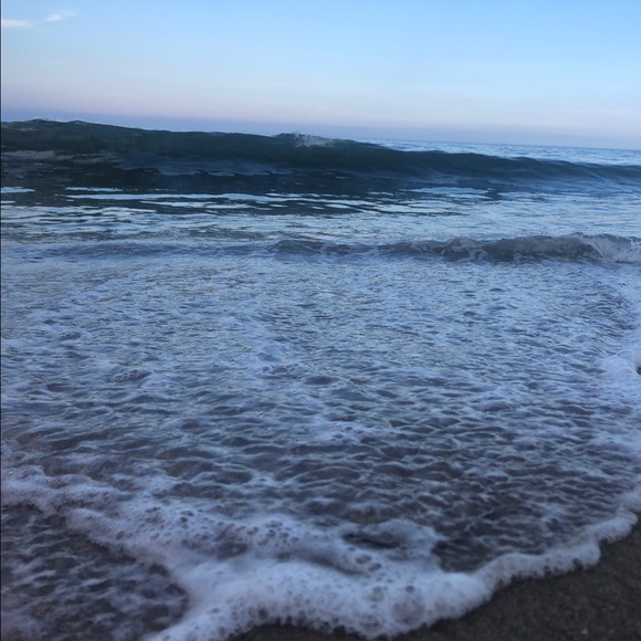 Meet your Posher, Grace - Picture 1 of 1